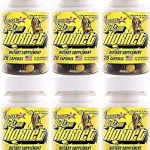 Yellow Hornet