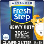 WhatsApp Image 2025-10-16 at 12.24.03 PM